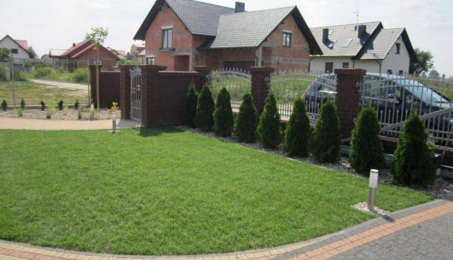 trawnik przed domem