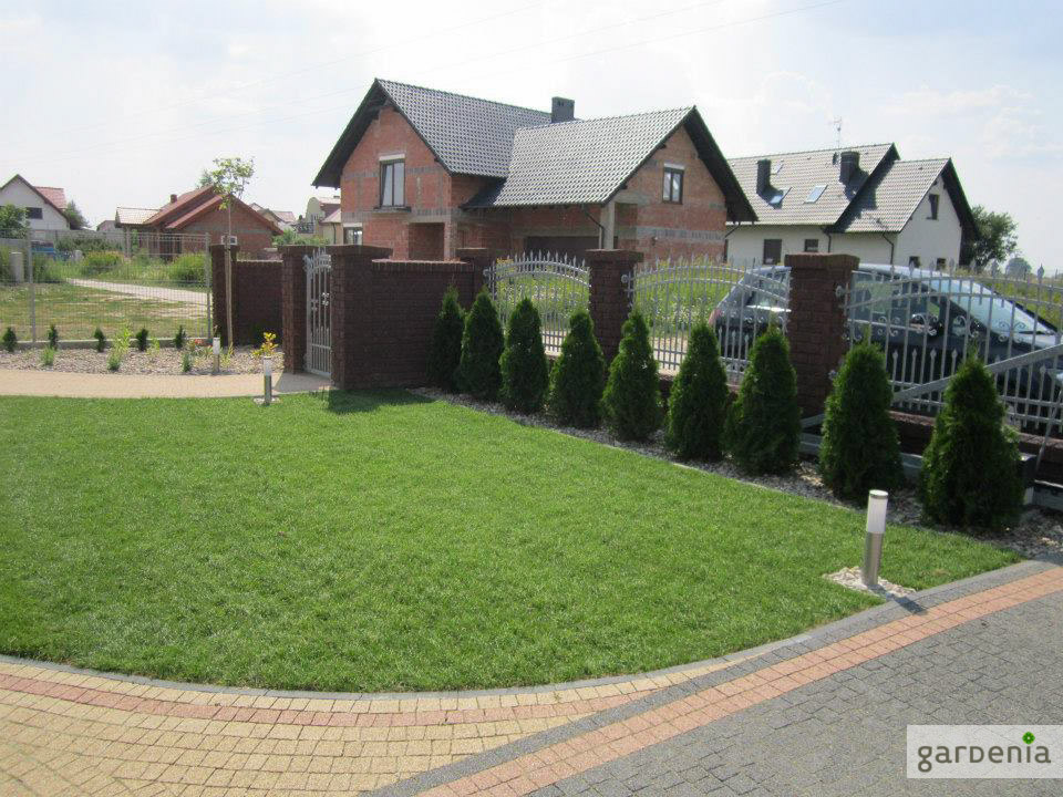 trawnik przed domem