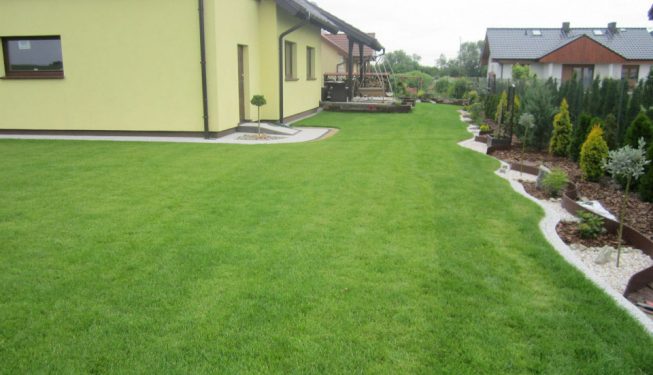 Nowy trawnik wokół domu
