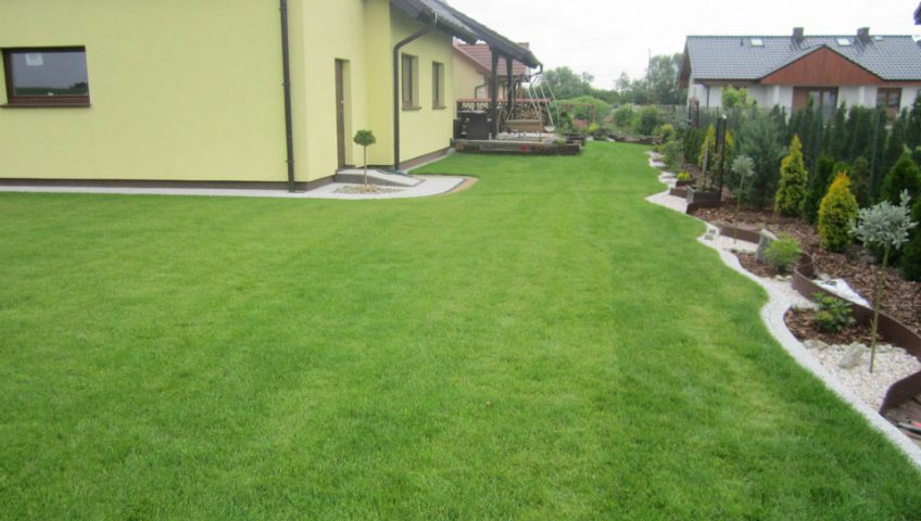 Nowy trawnik wokół domu